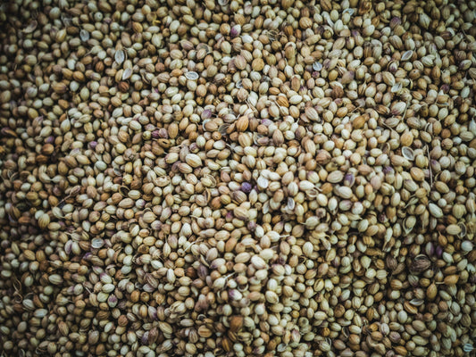 The highly palatable goodness of hemp seeds