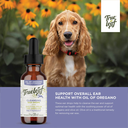 Cleansing Ear Drops - 25%OFF applied at checkout