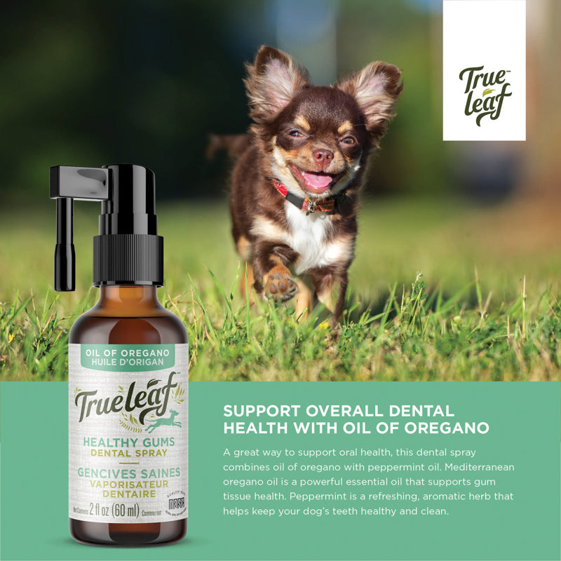 Healthy Mouth Dental Spray - 25%OFF applied at checkout