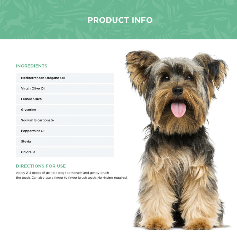 The Oral Care Bundle - Dental Spray and Dental Gel