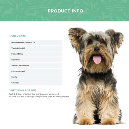 The Oral Care Bundle - Dental Spray and Dental Gel