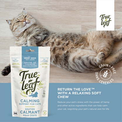 Calming Support for Cats (50g)